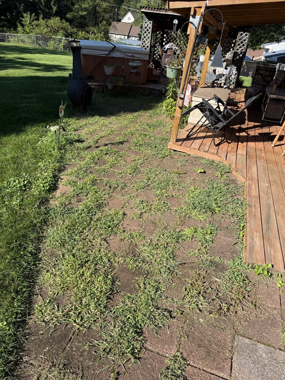 Before landscaping transformation 10