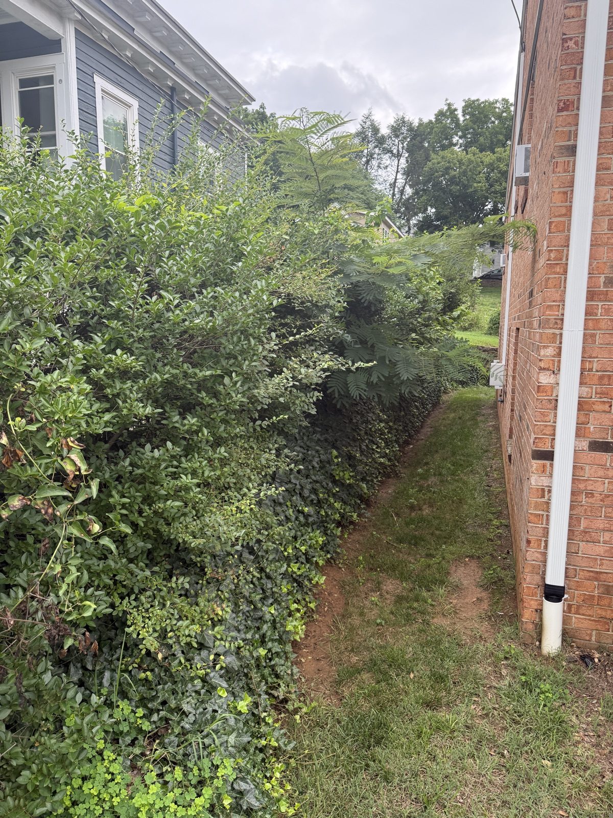 Before landscaping transformation 3