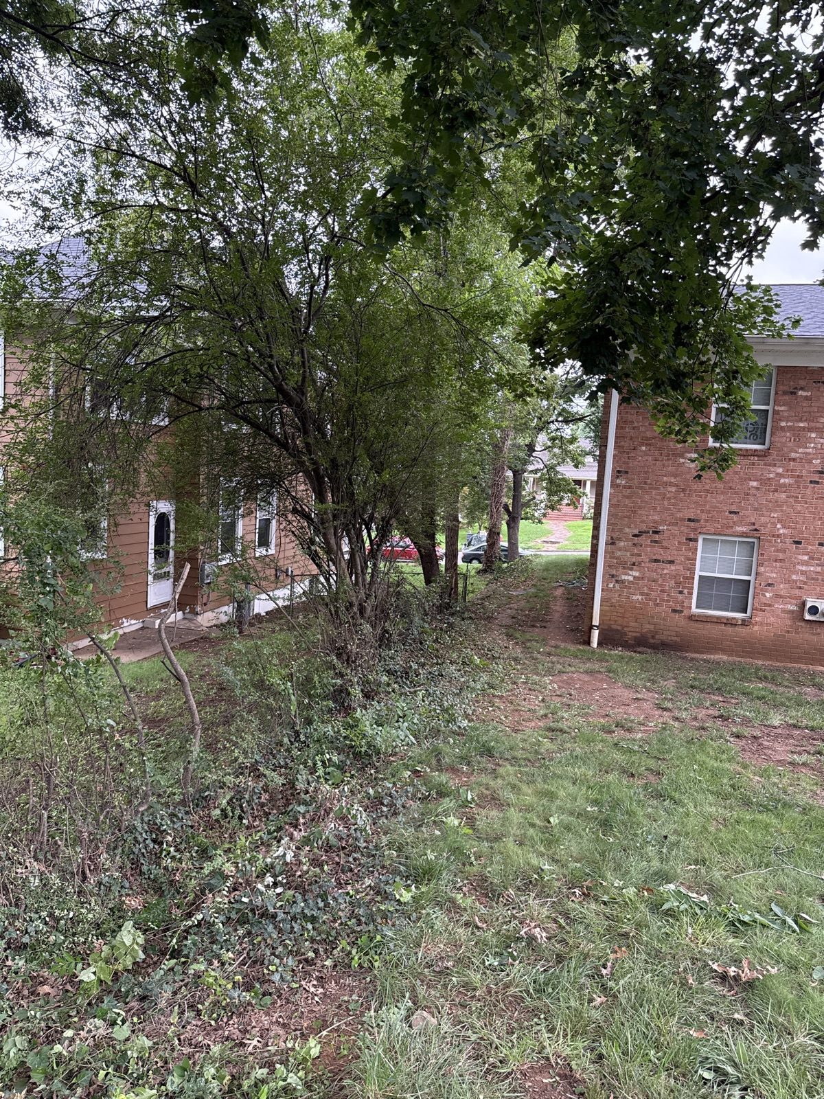 After landscaping transformation 5
