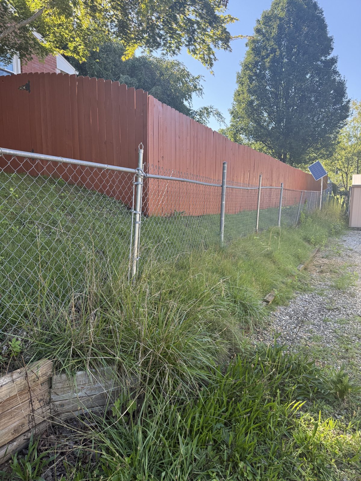 Before landscaping transformation 6
